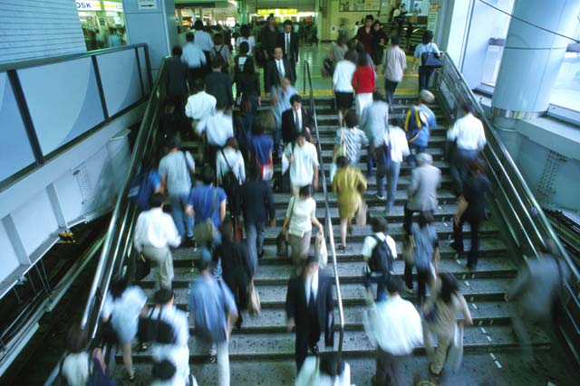 WordPress保守管理 月額1万円 更新・運用サポート